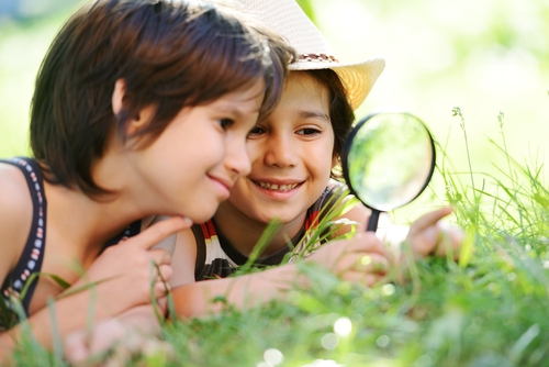 shutterstock_135191627